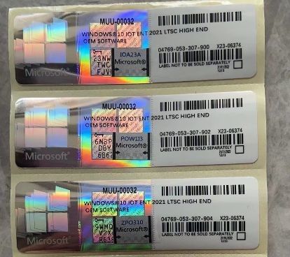 Windows 10/11 IOT ENT 2024 Software LTSC Para Windows 10 11 ENT 2019 2021 2024 LTSC Multilíngue Ativação online global